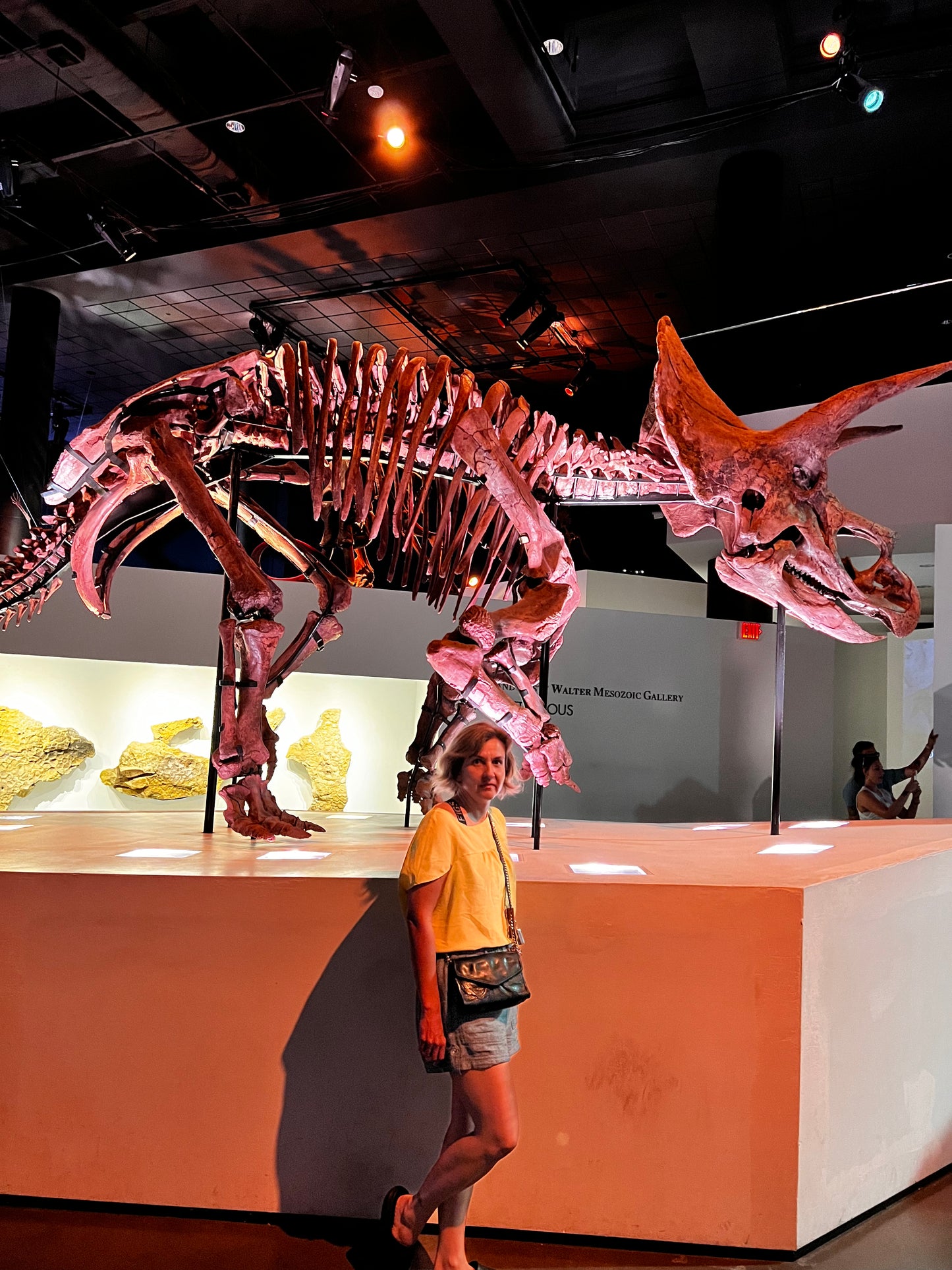 Enjoy a trip to Dinosaurs Exbition at  Houston Texas  Museum of Natural Sciences