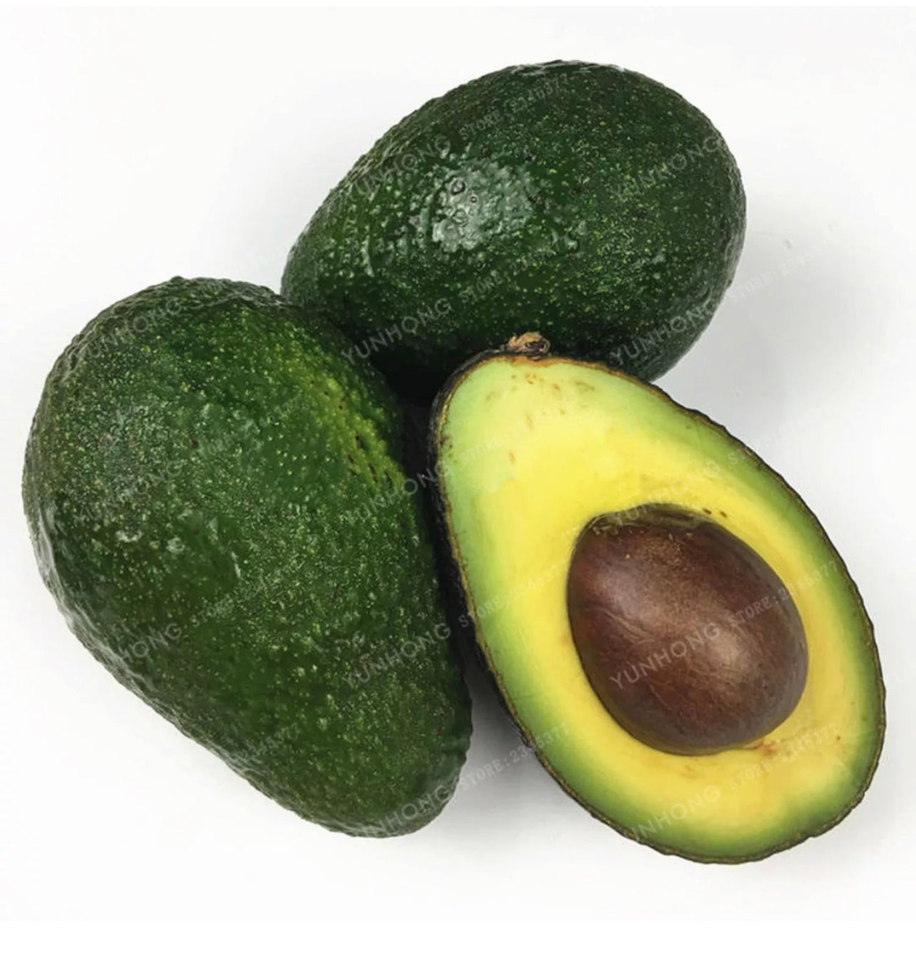 Avocado green Seed ONLY