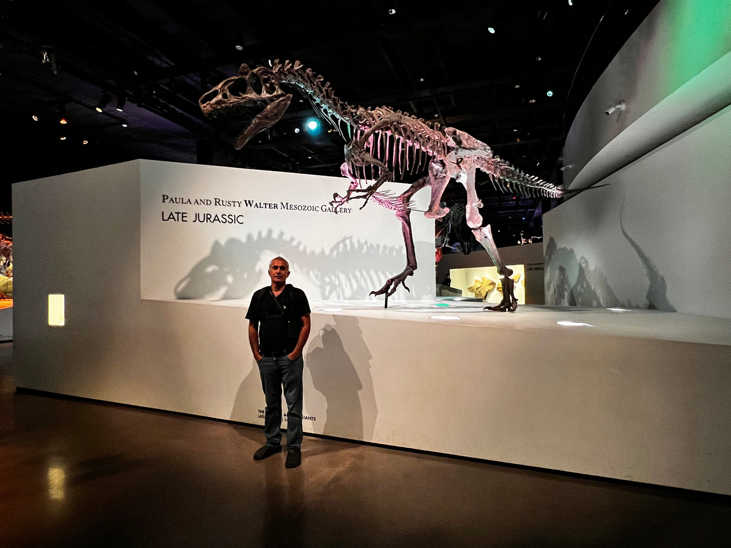 Enjoy a trip to Dinosaurs Exbition at  Houston Texas  Museum of Natural Sciences