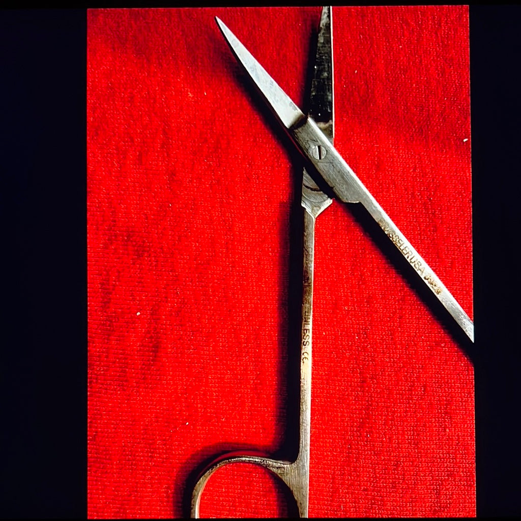 302 Brasseler Iris Curved Scissors