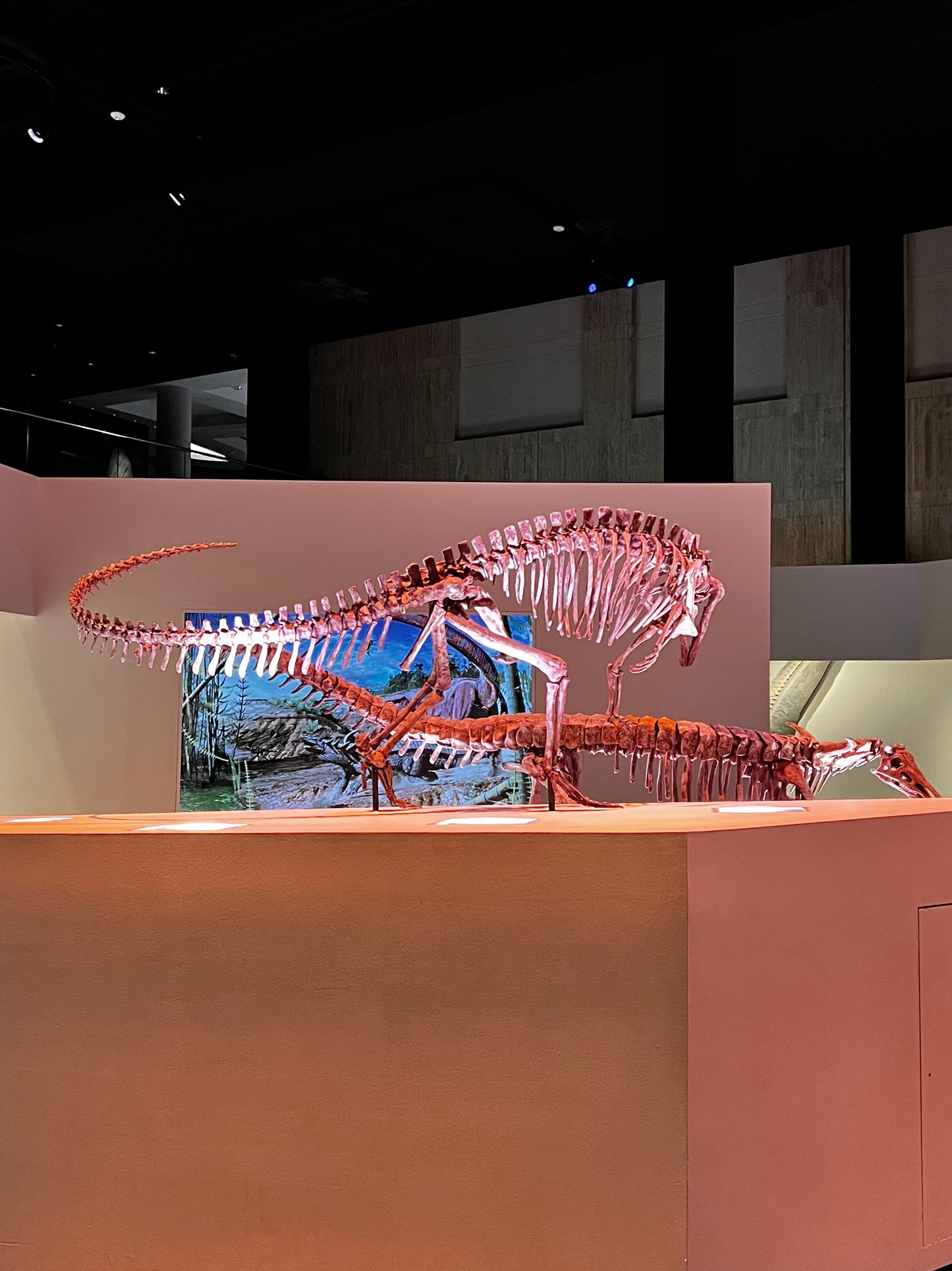 Enjoy a trip to Dinosaurs Exbition at  Houston Texas  Museum of Natural Sciences