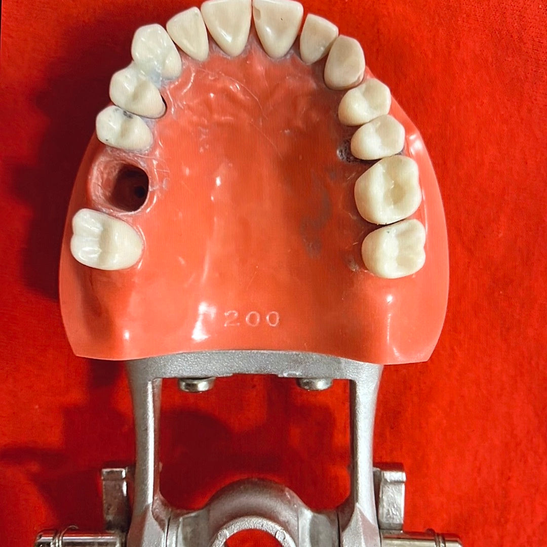 USED original KILGORE NISSIN Hard Gum 28 Teeth For Operative Crown & bridge