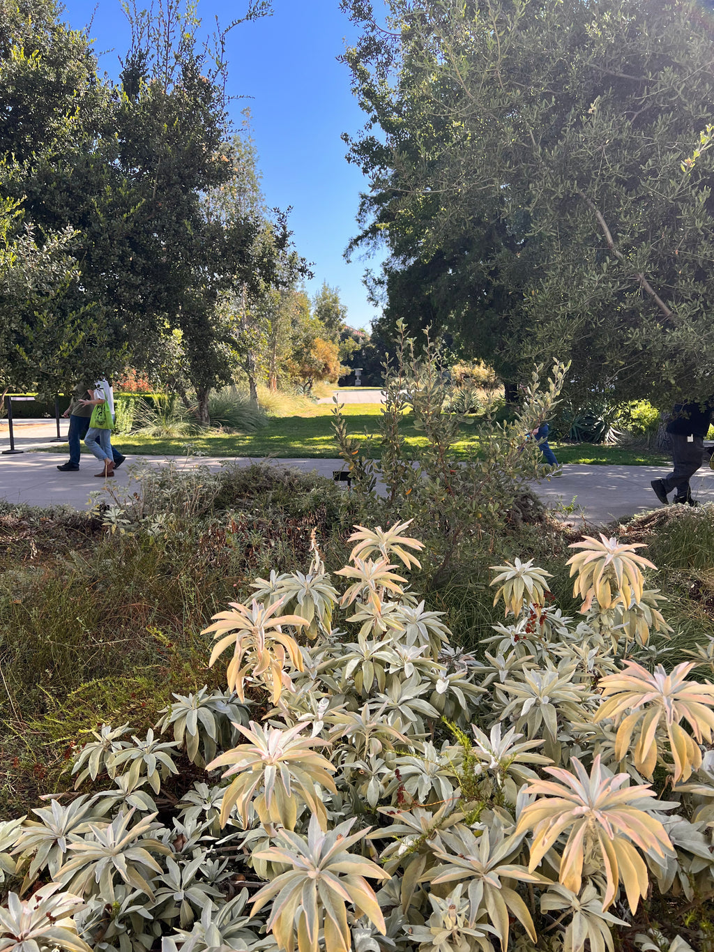 The Huntington Library Trip Los Angles 09022022