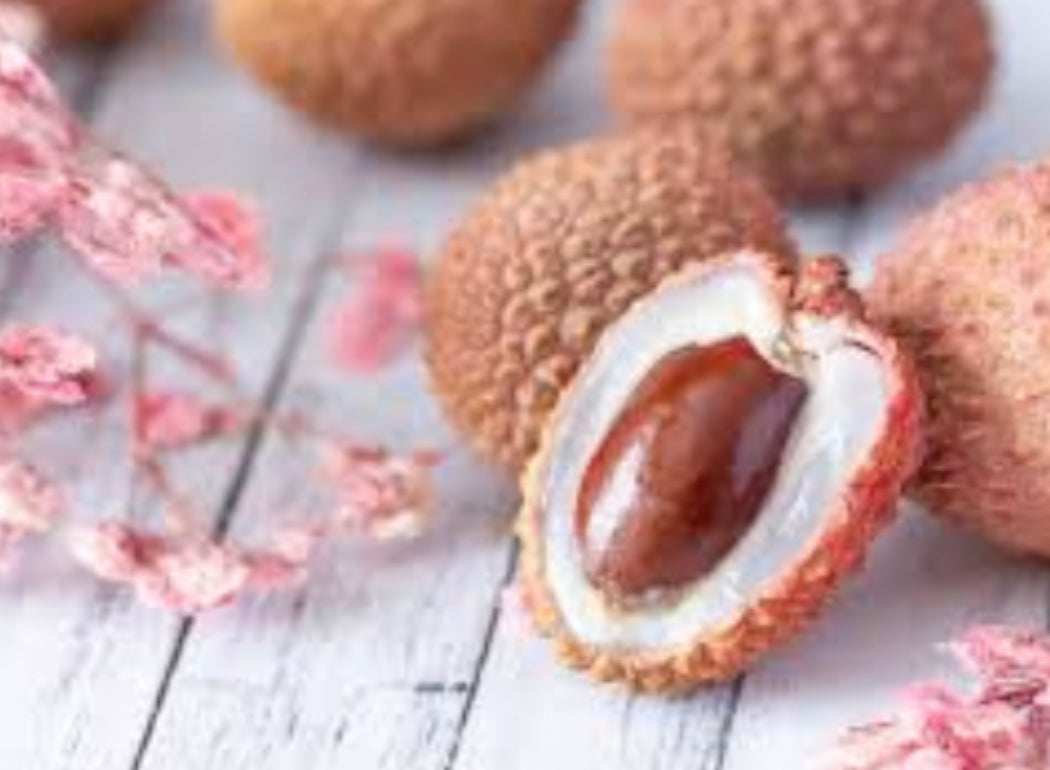 RAMBUTAN ORIENTAL LYCHEE SEED ONLY