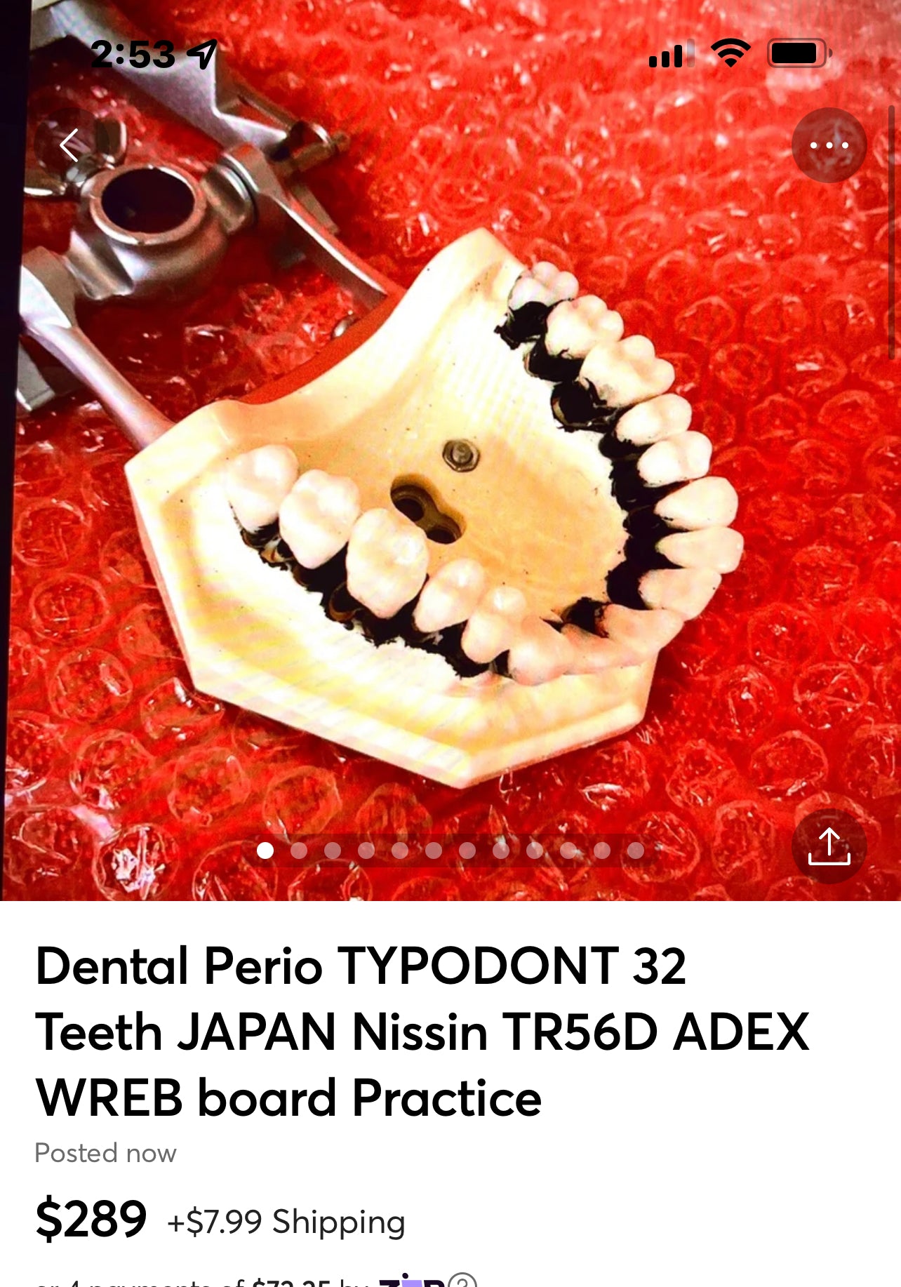 Dental Perio TYPODONT 32 Teeth JAPAN Nissin TR56D ADEX WREB board Practice