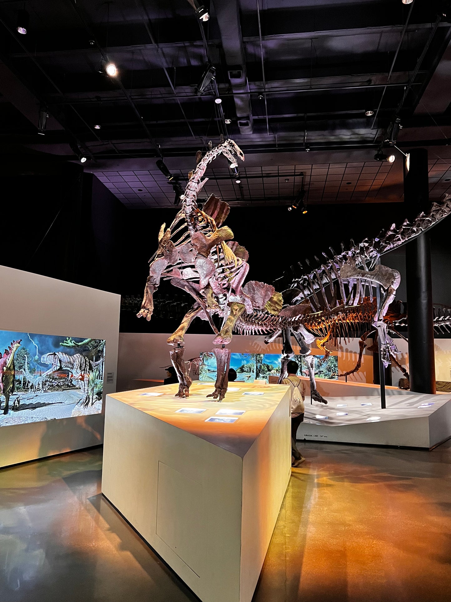 Enjoy a trip to Dinosaurs Exbition at  Houston Texas  Museum of Natural Sciences