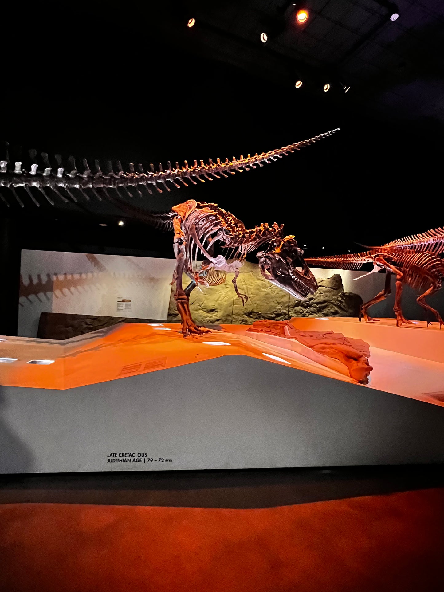 Enjoy a trip to Dinosaurs Exbition at  Houston Texas  Museum of Natural Sciences